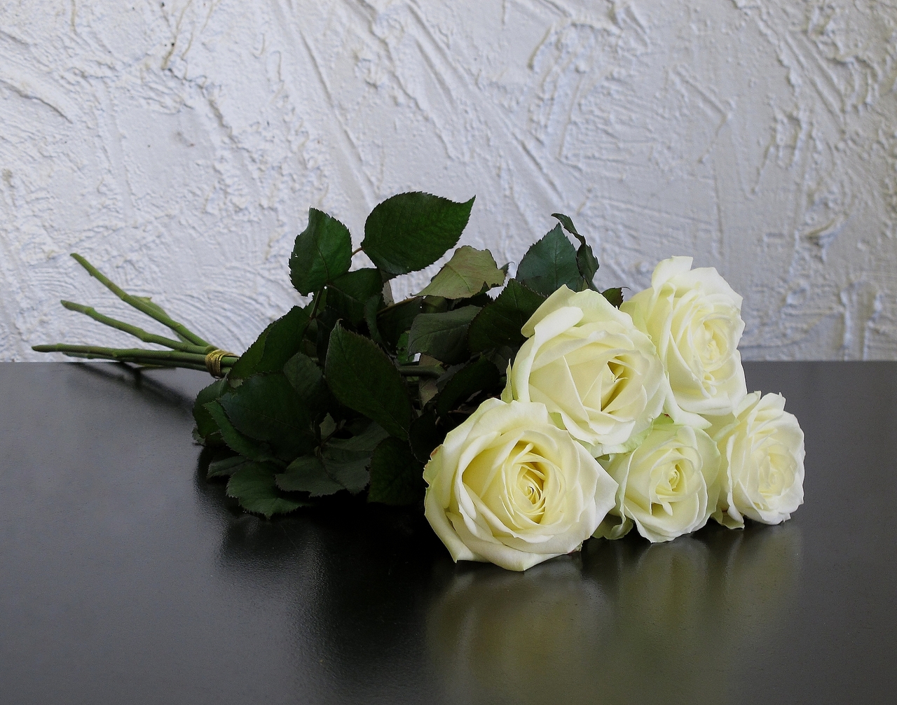 Valkoinen ruusu - Runebergin Kukka Dan Ward