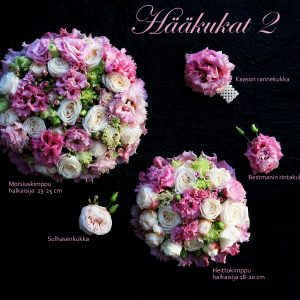 Hääkukat 2