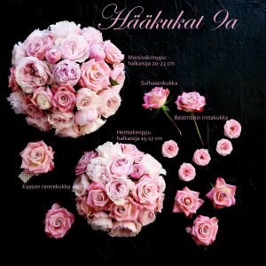 Hääkukat 9a