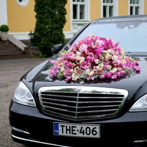 Autokoriste 3