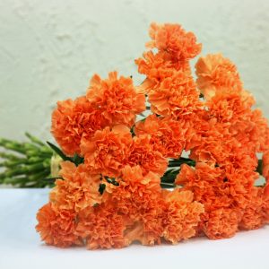 Neilikkakimppu 10