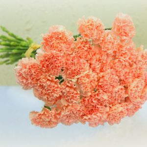 Neilikkakimppu 8